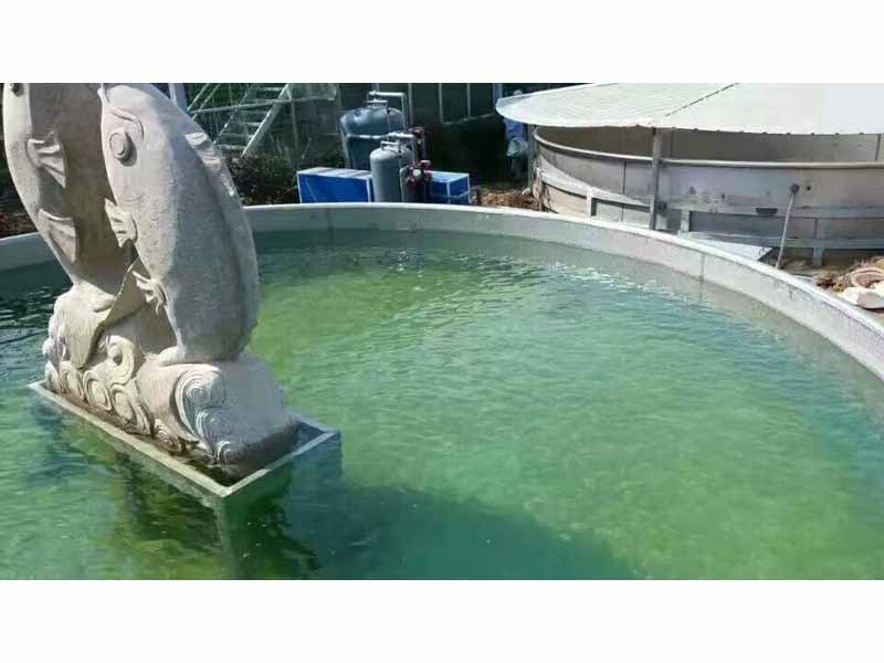 全自動(dòng)循環(huán)水設(shè)備