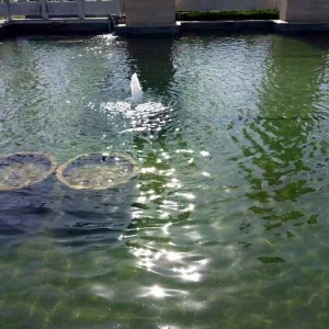 全自動循環(huán)水設備